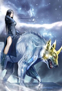 最后的三国2:兴魏